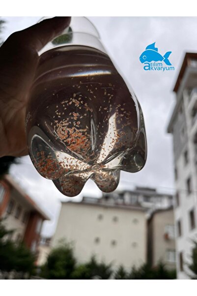 Atılım Akvaryum Daphnia Su Piresi Kültürü 500ml Minimum 500 Adet