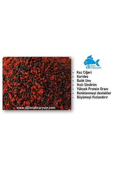 Atılım Akvaryum Ciklet Balığı Yemi, Yüksek Protein Oranlı Etçil Yem Özel Seri 100 Gram