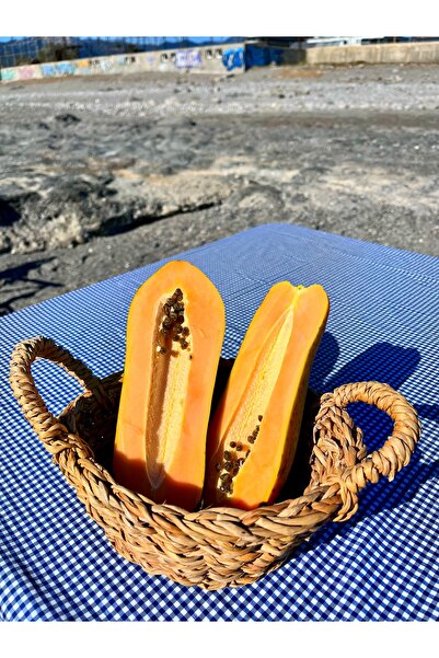 ALANYADAN TROPİKAL Papaya (Ağaç Kavunu)700-1000 gr Adet