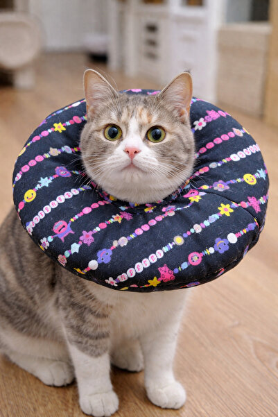 Genel Markalar Kedi Köpek Boyunluk - Koruyucu Elizabeth Yaka & Tırnak Kesme Y...