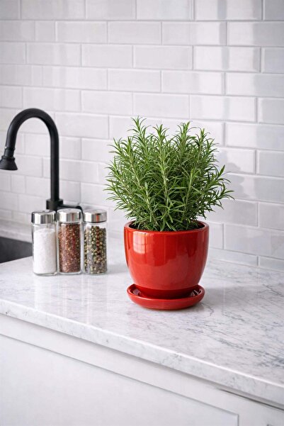 Evdek Tabaklı Kırmızı U Çömlek Saksı 16x16 Cm