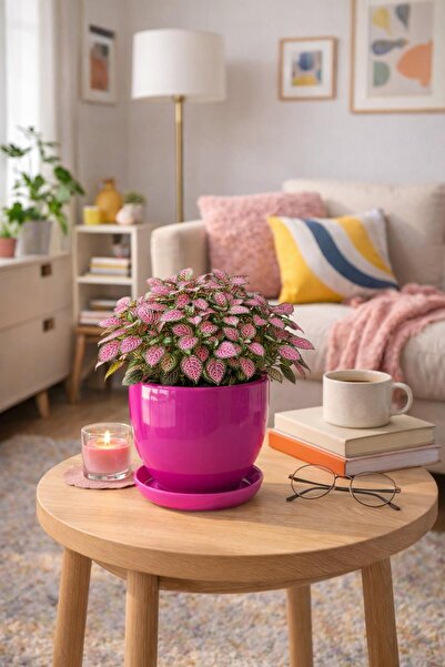 Evdek Tabaklı Koyu Pembe U Çömlek Saksı 16x16 Cm