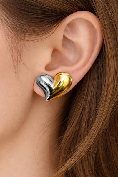 SherDesing أقراط من الفولاذ على شكل قلب بلونين