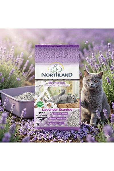 NORTHLAND Lavanta Kokulu Kedi Kumu 10 LT