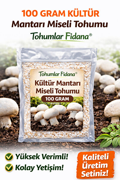 tohumlar fidana 100 GRAM KÜLTÜR Mantarı Miseli Tohumu Vakumlu