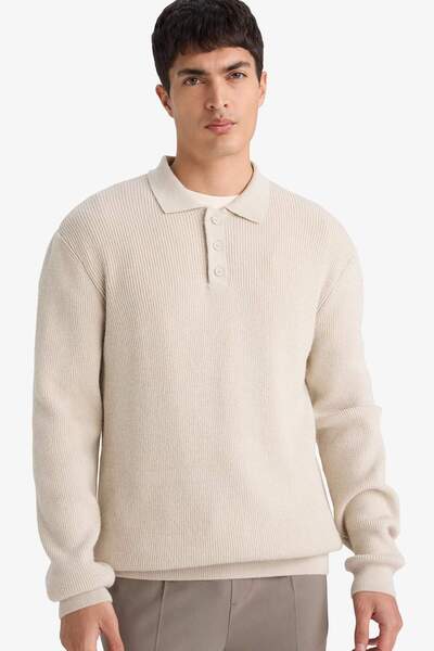 DeFacto Standard Fit Polo Collar Knitwear Sweater D3589Ax25Wn