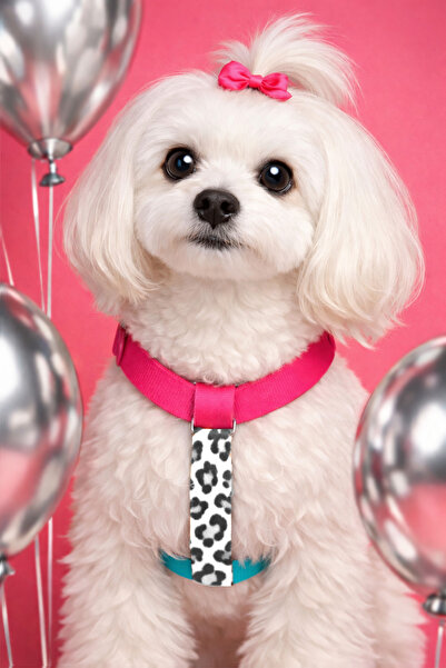 MOOD PAW طوق صدر للكلاب من النوع H قابل للتعديل مضاد للجاذبية من سكر موود