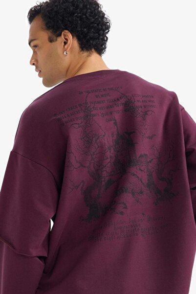 DeFacto Boxy Fit guler rotund Spate cu imprimeu Swea tricou G4352AX25WN