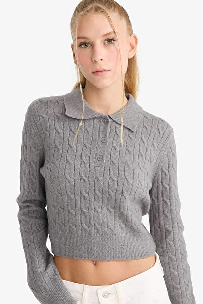 DeFacto Slim Fit polo džemper s uskim izrezom F1745AX25WN