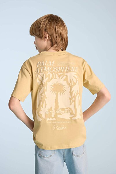 DeFacto تي شيرت مطبوع برقبة دائرية وأكمام قصيرة للأولاد E3741A825SM