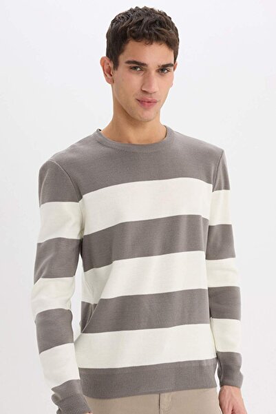 DeFacto سترة تريكو مخططة ذات قصة قياسية وياقة دائرية D1968AX24AU