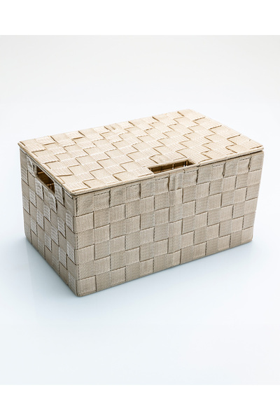 English Home Shine Kapaklı Saklama Kutusu Bej