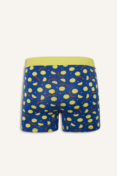 DeFacto Regular Fit Patterned 3-Piece Boxer C3284Ax24Wn