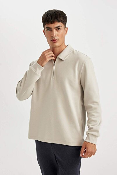 DeFacto Regular Fit Polo Kragen Half Zip Basic Plain Sweatshirt D2279AX24AU