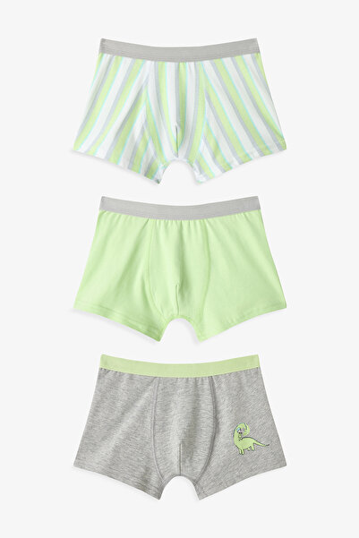 Penti Renkli Erkek Çocuk Dino 3'lü Boxer