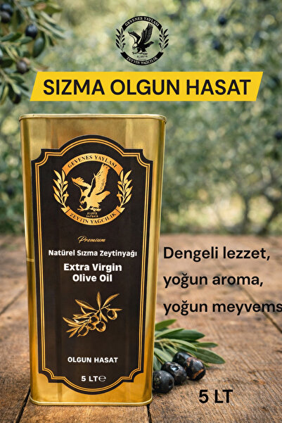 GEVENES YAYLASI ZEYTINCILIK NATUREL SIZMA OLGUN HASAT