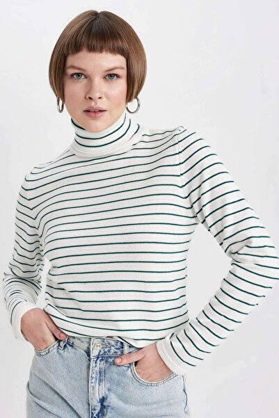 DeFacto Regular Fit Turtleneck Striped Sweater Sweater A2350Ax23Wn