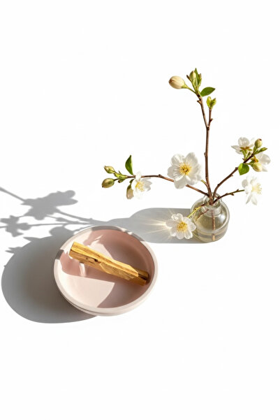 Minic Store Palo Santo Incense Burner |   Minimal Incense Plate |   Decorativ...