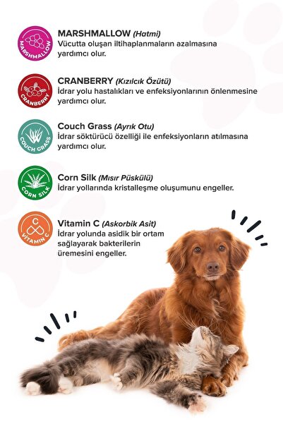 patiografya Premium Urinary+D Kediler ve Köpekler İçin Üriner Sistemi Destekleyici Tablet