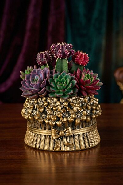 Evene Mini Çiçek Saksı Küçük Sukulent Altın Eskitme Kaktüs Saksısı Model 3
