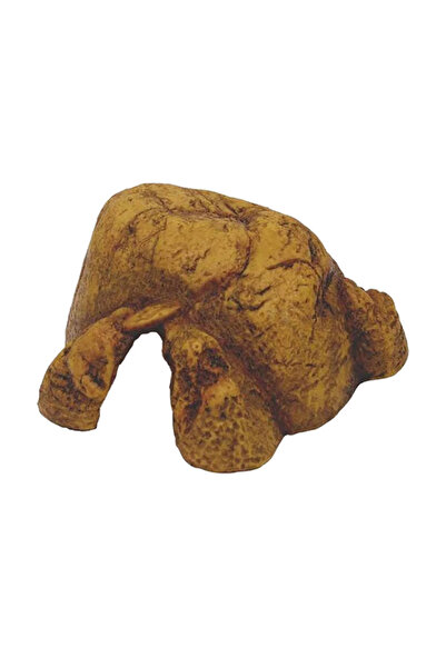 Exo Terra Sürüngen Mağarası Xxl