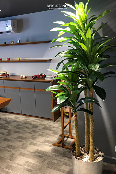 Dekorsende Yeşil Yapay Drasena Ağacı 180 cm