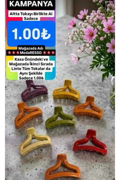 ModaRESSO Kadın Fileli Renkli Toka 6 cm