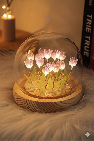 ENMA STORE Fanus İçinde Lale Bahçesi Tasarımlı Ledli Masa ve Gece Lambası