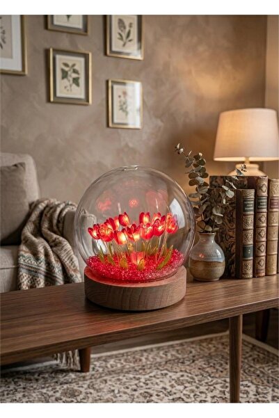 ENMA STORE Fanus İçinde Lale Bahçesi Tasarımlı Ledli Masa ve Gece Lambası