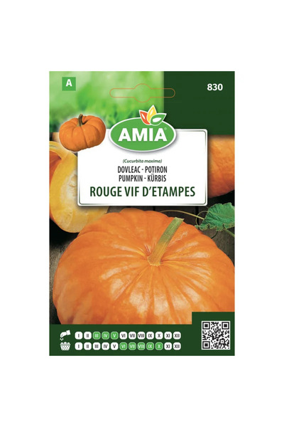 OEM Seminte legume, dovleac Rouge Vif d'Etampes, Vilmorin