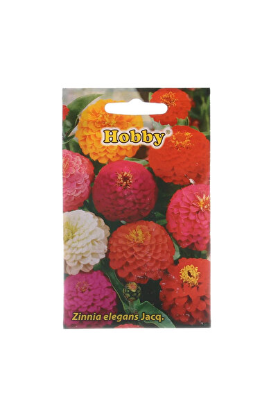 OEM Seminte flori de primavara, carciumarese pitic, amestec culori, Hobby, 1 g