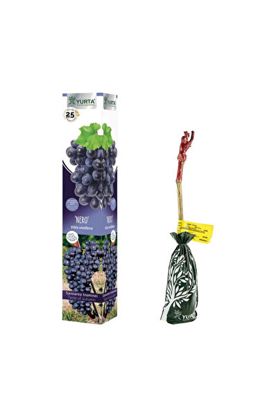 OEM Butas vita de vie, soi Nero, H 41 - 60 cm, albastru