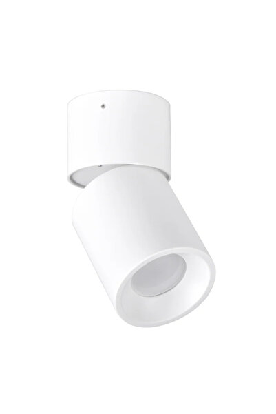 OEM Adjustable surface-mounted spotlight, Nixa, 1 x GU10, 10 W, round, white