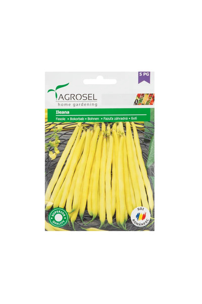 OEM Seminte legume, fasole Ileana, Agrosel