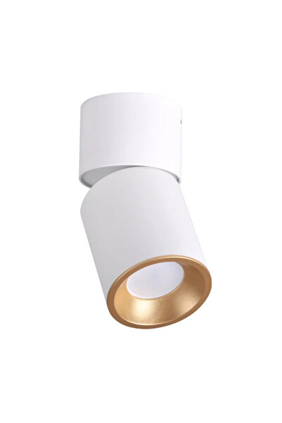 OEM Ρυθμιζόμενο επιτοίχιο σποτ, Nixa, 1 x GU10, 10 W, στρογγυλό, λευκό-χρυσό