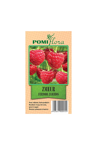 OEM Φρούτος θάμνος βατόμουρο Fertodi Zamatos, Υ <40 cm, κόκκινο