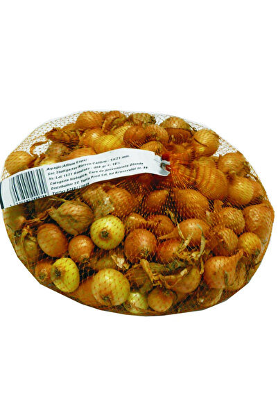 OEM Σπορόφυτο για φύτευση, ποικιλία λευκού σχοινόπρασου, 14 - 23 mm, 0,45 kg