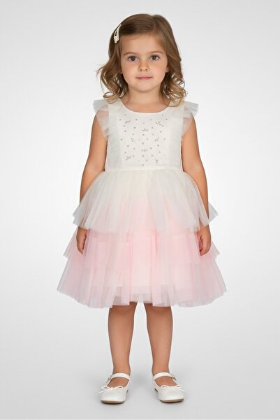 Biscotti Toddlers Girl Textured Ruffle Sleeve Dress, Multicolor