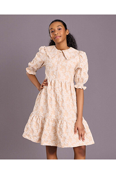 REDTAG Senior Girls Beige Peter Pan Collar Jacquard Dress