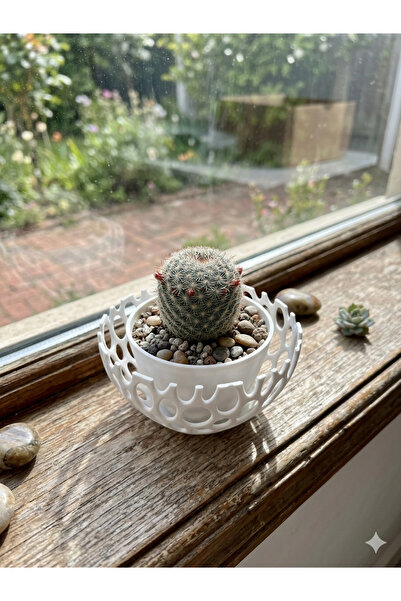 kompozit atölyesi Dekoratif Kaktüs ve Sukulent Saksısı Modern Tasarım Mini Çi...
