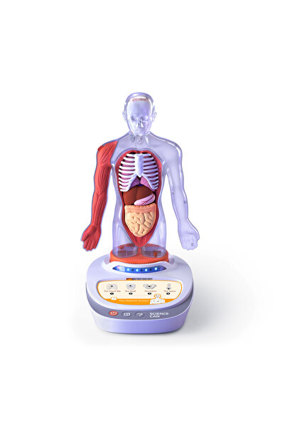 Science Can Descopera corpul uman - Enciclopedie Interactiva STEAM