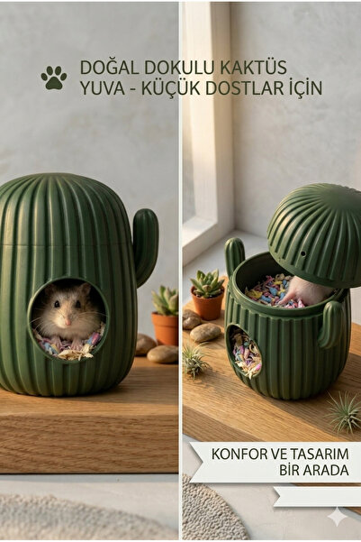 OBLİVİON Hamster Evi - Kaktüs Tasarımlı – Konforlu Kemirgen Yuvası | Dekorati...