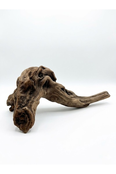 WODDY Mangrove Akvaryum Kökü