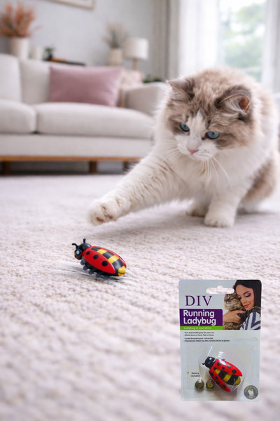 div Pilli Uğur Böceği Şeklinde Hareket Eden Kedi Oyuncağı