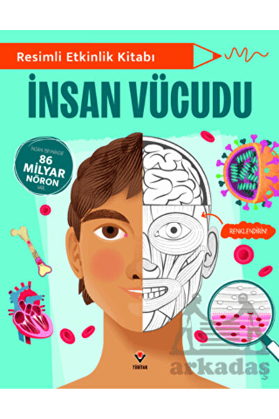 Tübitak Yayınları Resimli Etkinlik Kitabı - İnsan Vücudu