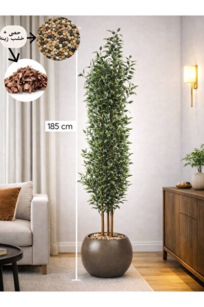 CENTRHOME An olive tree with three branches, 185 cm tall, in a round pot