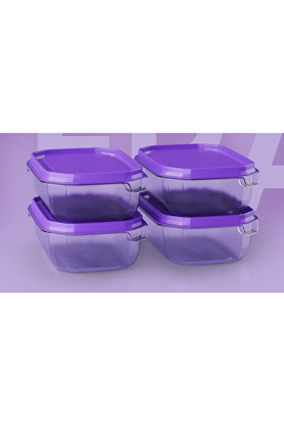 COZZONİ 4'lü Mini Tera Saklama Kabı /4x160 ml