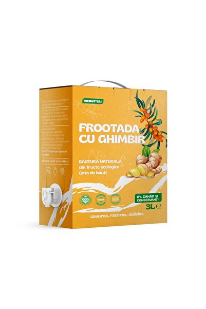 FROOTYA Frootadă cu Ghimbir 3 L