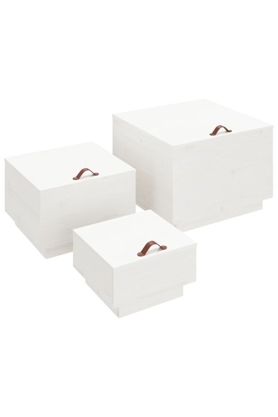 vidaxl Storage boxes with lids, 3 pcs., white, solid pine wood