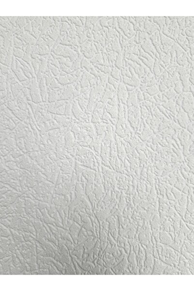 vertu Boyanabilir Duvar Ve Tavan Kağıdı 6550 ( 26,50 M2 Rulo )